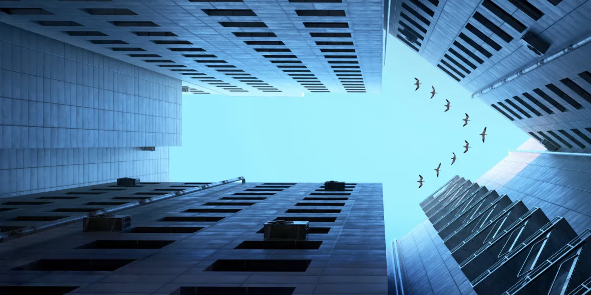 Perspektivische Hochhausfassade mit Blick von unten nach oben in blauen Himmel mit Vogel Formation